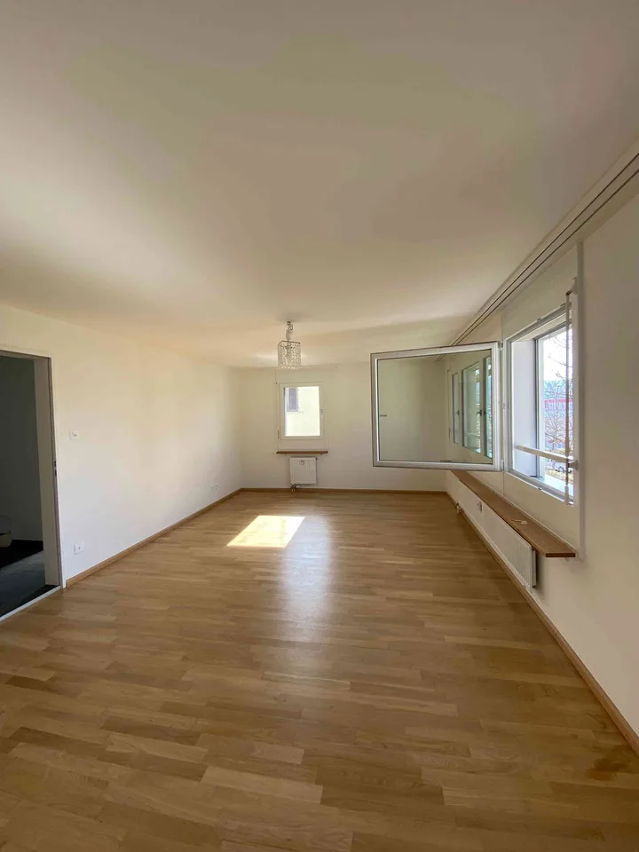Appartamento 3.5 locali a Münchenstein – Cercasi subaffittuario – foto 16 di 18