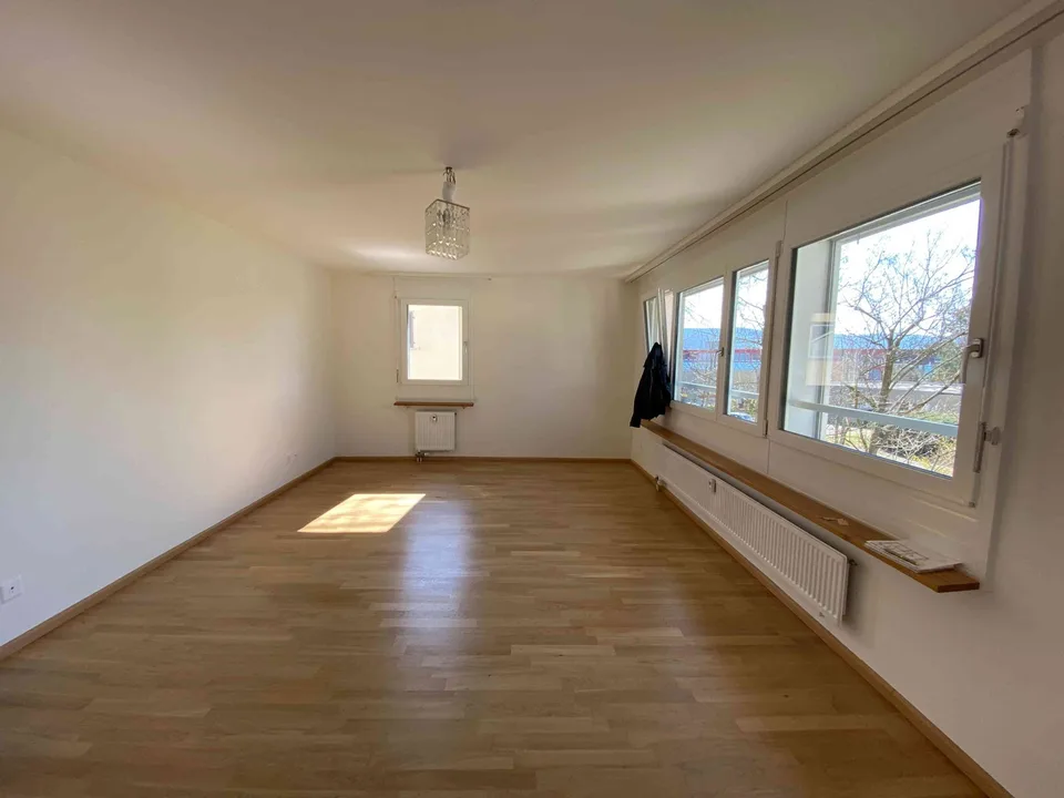 Appartamento 3.5 locali a Münchenstein – Cercasi subaffittuario – foto 18 di 18