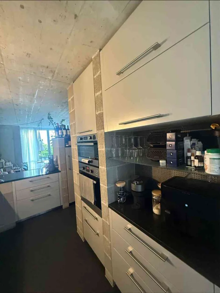 Maison unifamiliale unique à Camorino – photo 4 sur 12