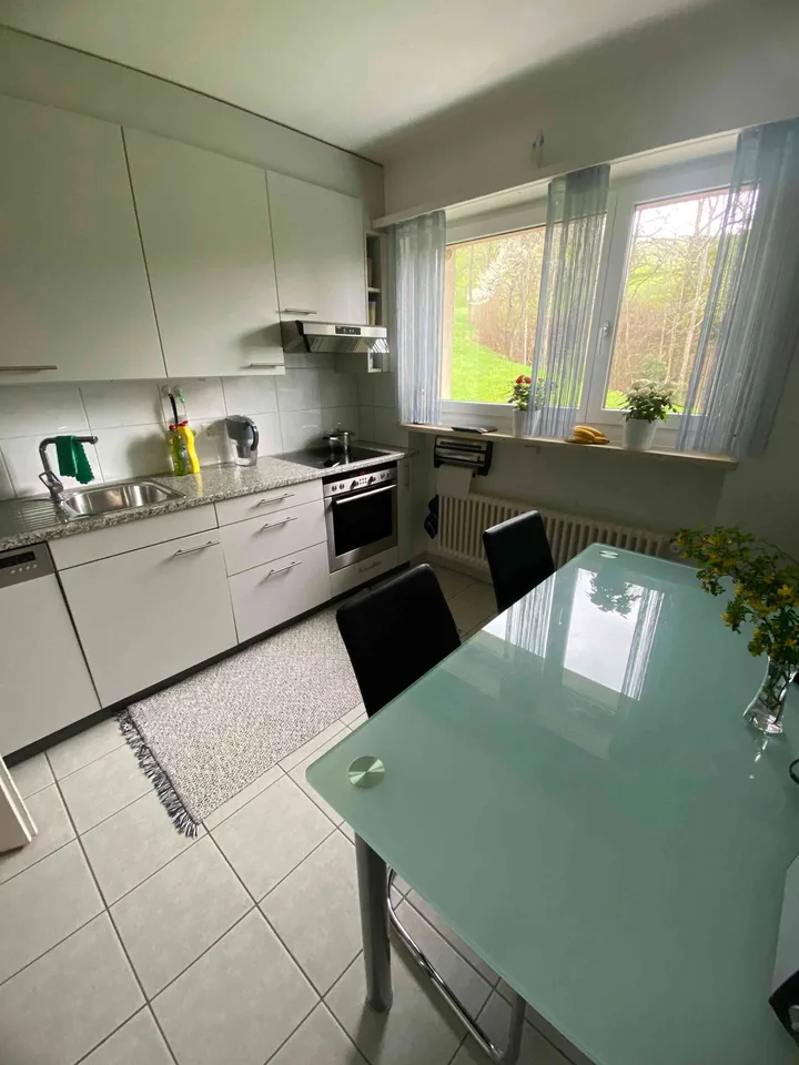 4.5 Zimmer Wohnung – foto 3 di 11