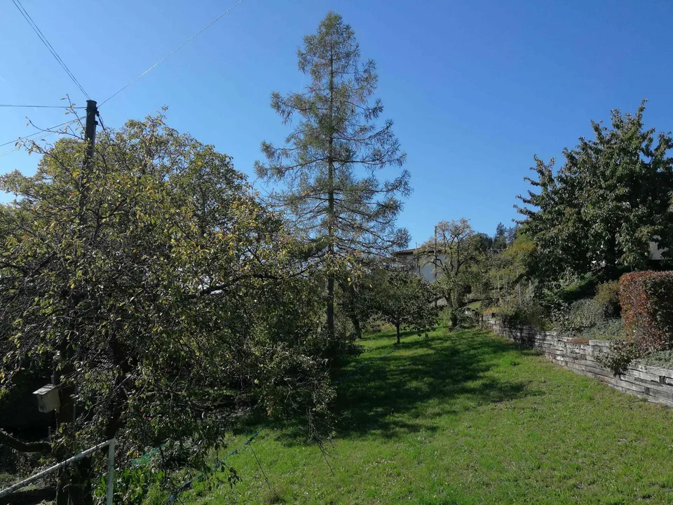 Einfamilienhaus ruhige erhöhte Lage schöne Aussicht Terrasse + Garten! – Foto 7 von 13