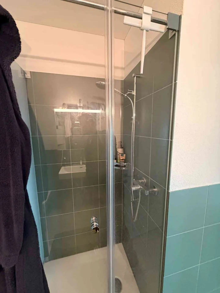 Moderne, voll möblierte 2.5-Zimmer-Wohnung im Vogelwinkel 1C (Zug) – foto 8 di 10