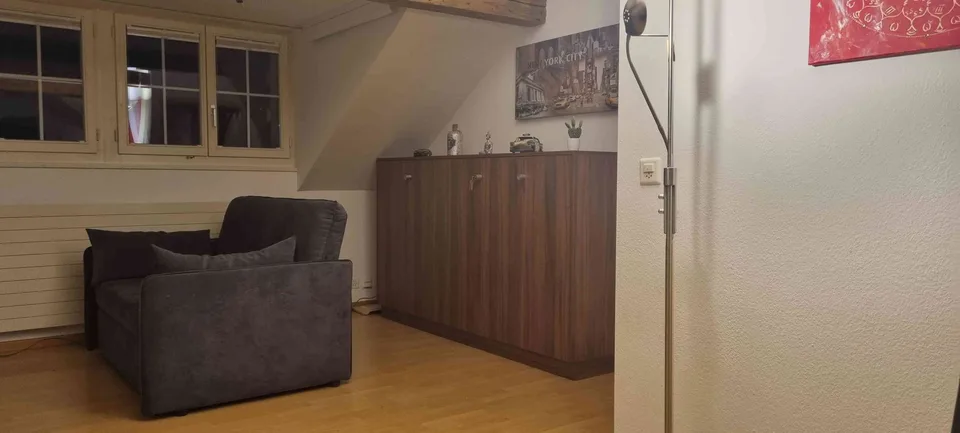 Möblierte 2.5 Zimmer Wohnung – Foto 3 von 7