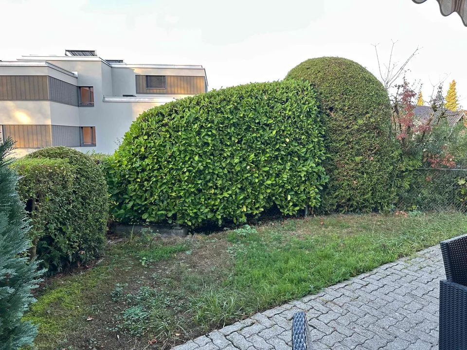 Sole - Pace - La tua nuova felicità! – foto 12 di 13