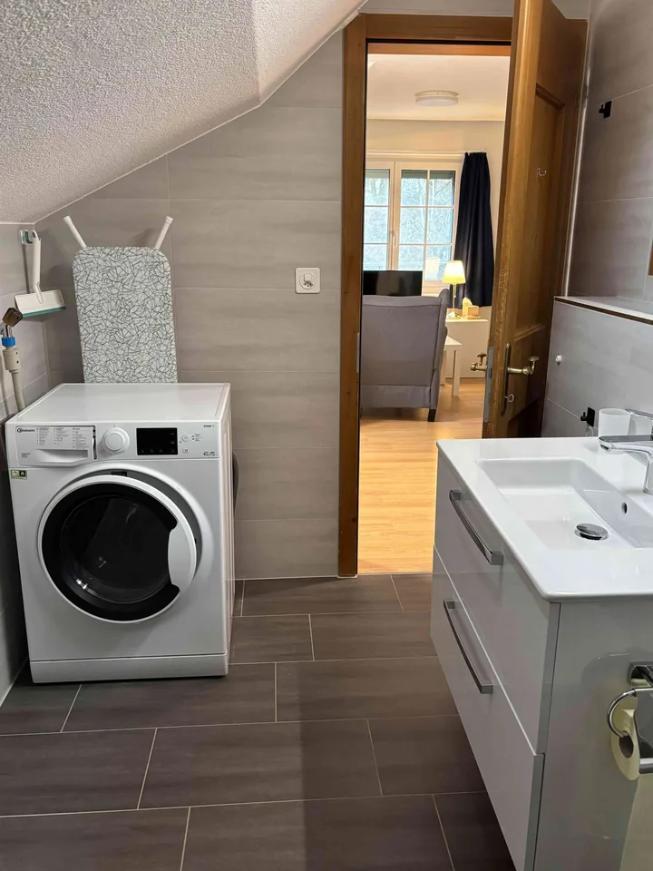 Möblierte Wohnung (renoviert), zentrale Lage *ab 3 Monaten* zu mieten – Foto 7 von 8