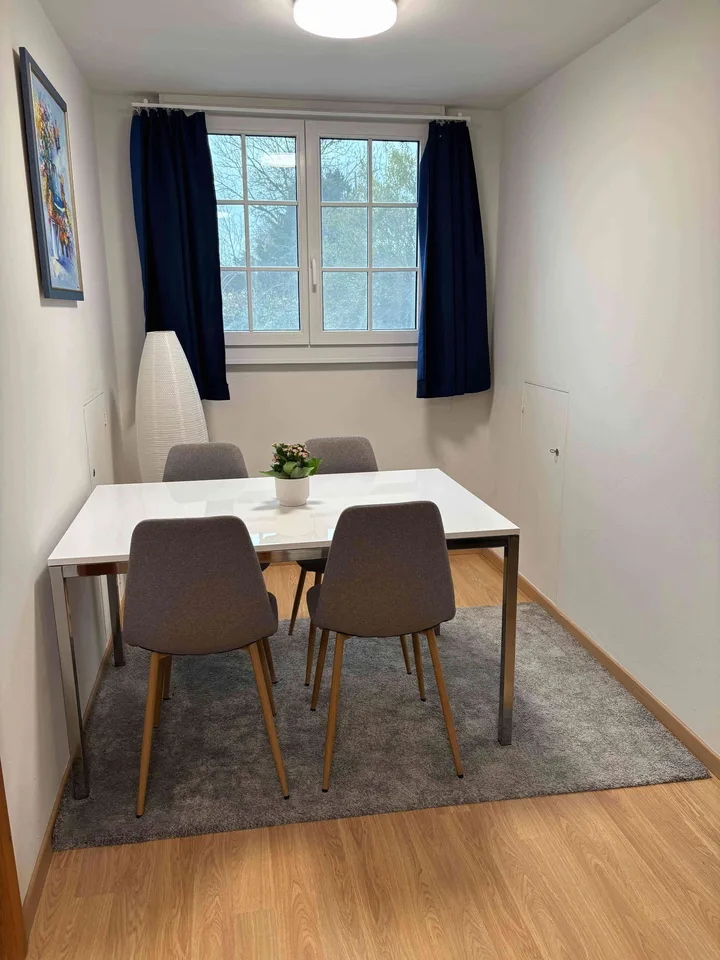 Möblierte Wohnung (renoviert), zentrale Lage *ab 3 Monaten* zu mieten – Foto 6 von 8