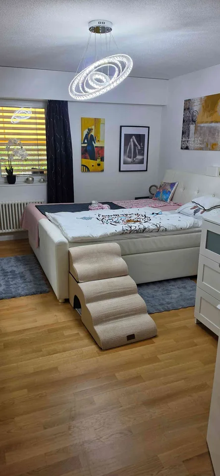 Nachmieter gesucht – Foto 5 von 9