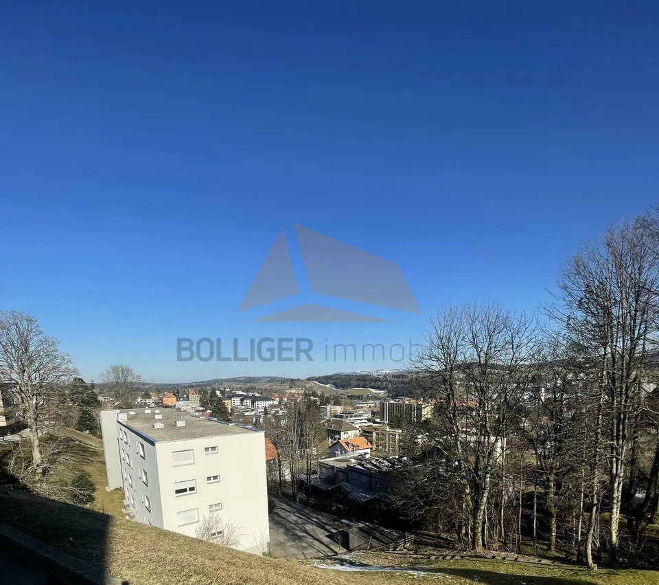 A VENDRE APPARTEMENT DE 4.5 PIÈCES EN PPE ET GARAGE