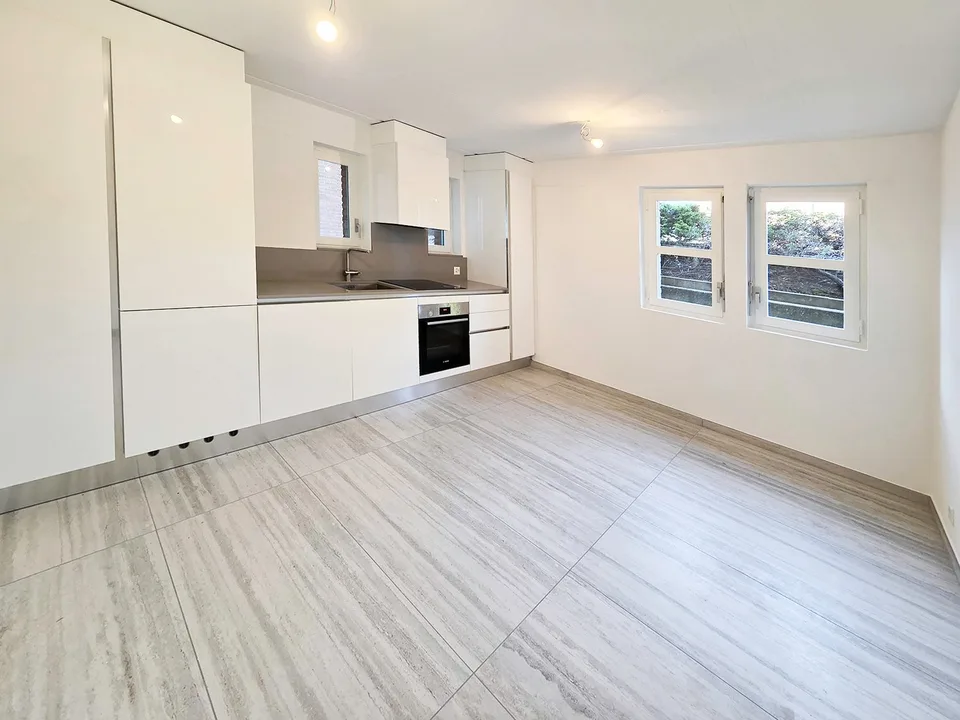Prächtige 4.5-Zimmer-Duplexwohnung in Tenero
