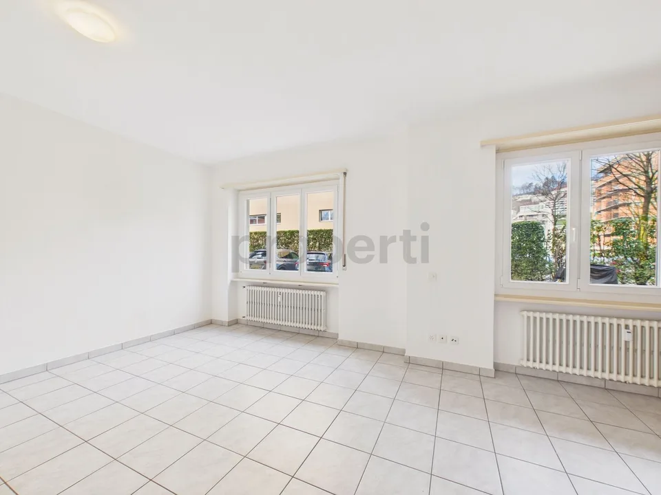 Spazioso 1.5 locali single-room ben collegato ai servizi, Lugano