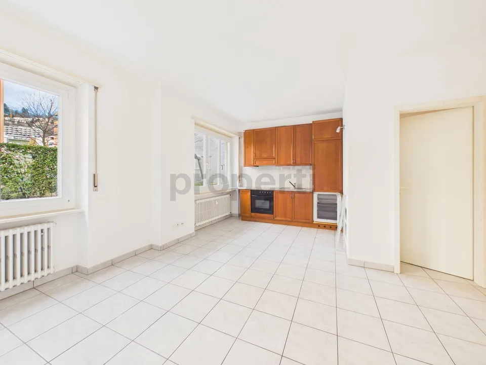 Spazioso 1.5 locali single-room ben collegato ai servizi, Lugano
