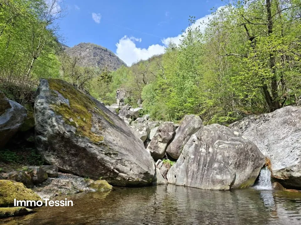 Grosszügiges Bauland mitten in der Natur mit Waldparzelle an sonniger, naturnaher Lage 10 Autominuten von Biasca entfernt – Foto 6 von 9