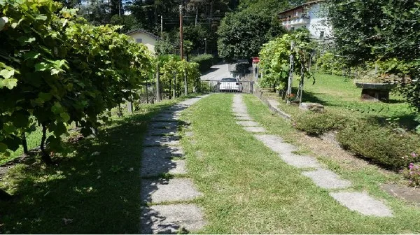 Wir verkaufen in Sonvico Baugrund – Foto 6 von 6
