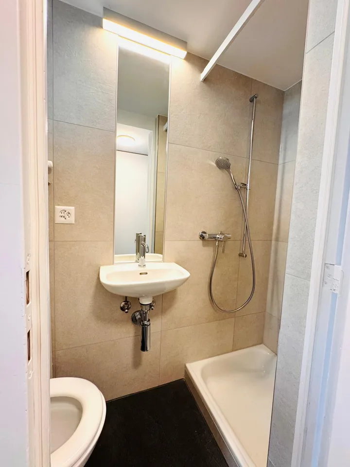 Neu sanierte 5.5-Zimmer Maisonette-Wohnung an ruhiger Lage – Foto 9 von 9