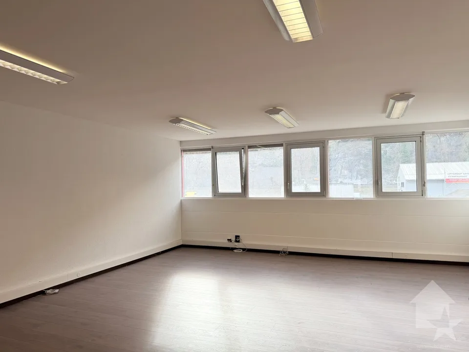 Vente de surface commerciale à Sion
