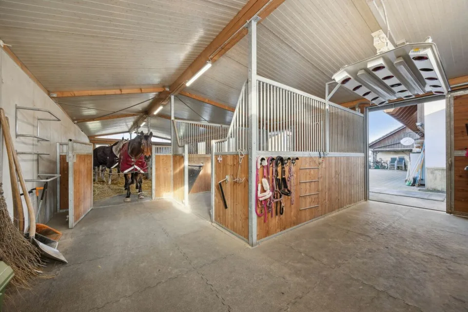 Immobilie equestre con due unità abitative e possibilità di allevamento individuale di cavalli