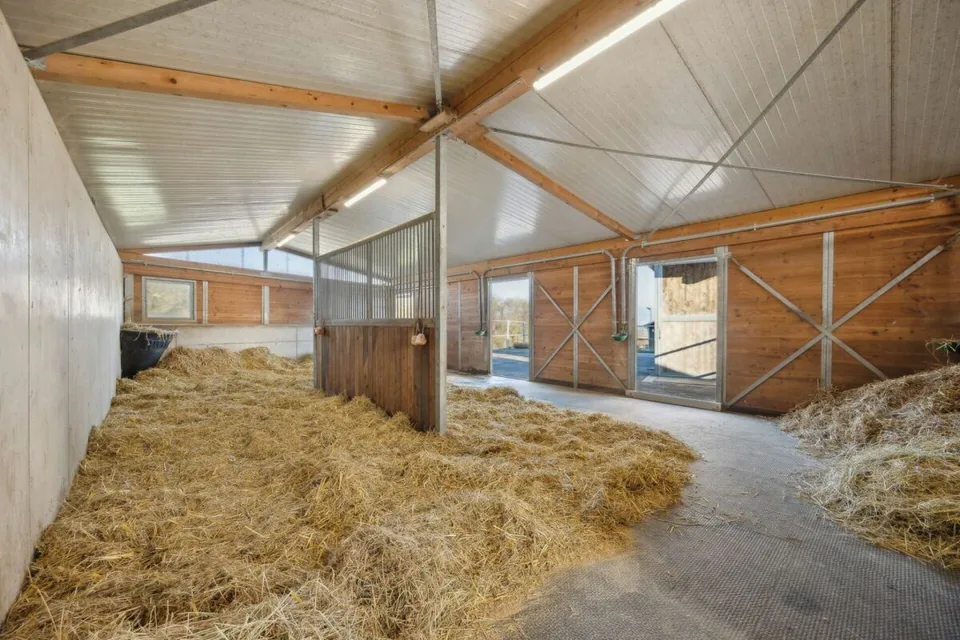 Immobilie equestre con due unità abitative e possibilità di allevamento individuale di cavalli
