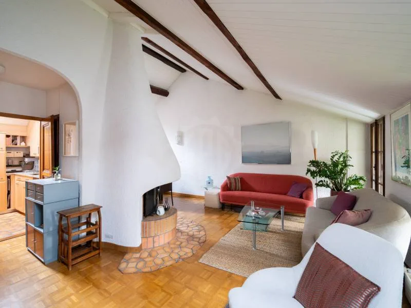 Charmantes Apartment - Chêne-Bougeries