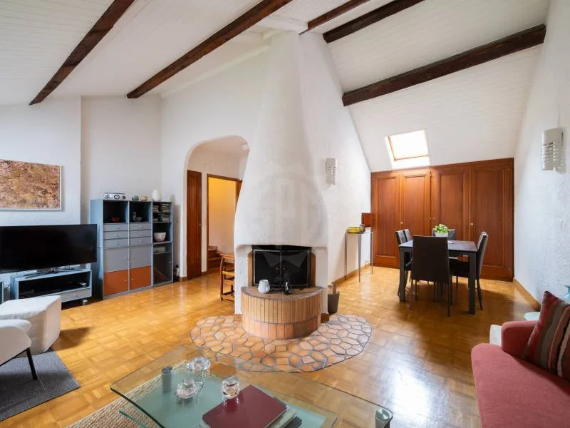 Charmant appartement - Chêne-Bougeries