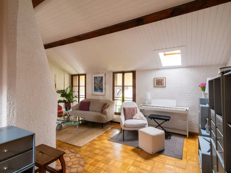 Charmantes Apartment - Chêne-Bougeries