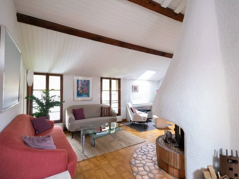 Charmantes Apartment - Chêne-Bougeries