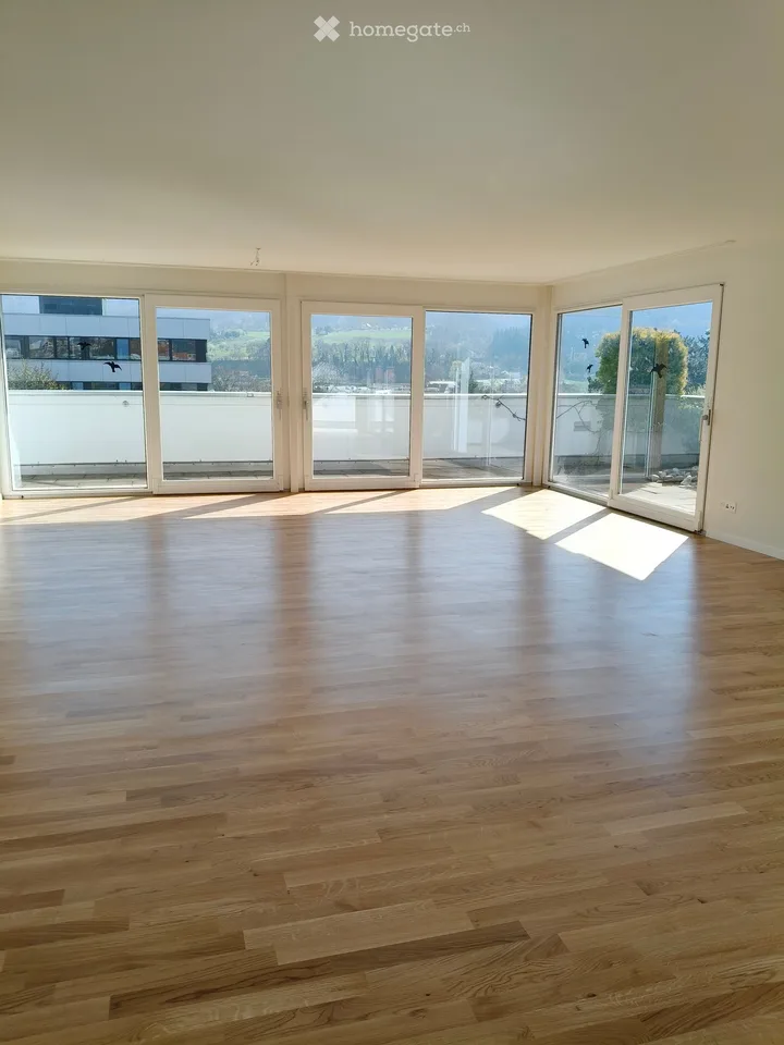 Grosszügige 4.5-Zimmer-Attika-Wohnung mit Terrasse und schöner Aussicht in Aesch BL