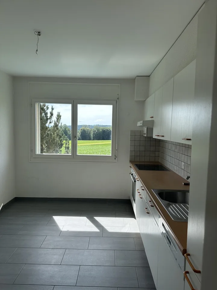 CORMÉROD - 2 Spacieux appartements 4,5 et 5,5 pces balcons ou jardins