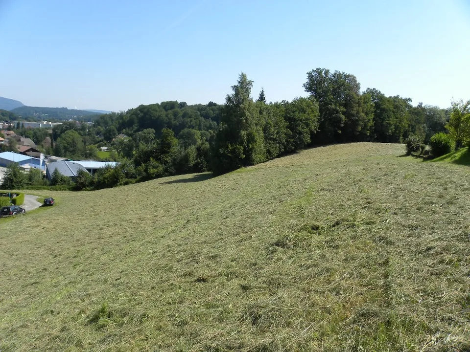 Building land