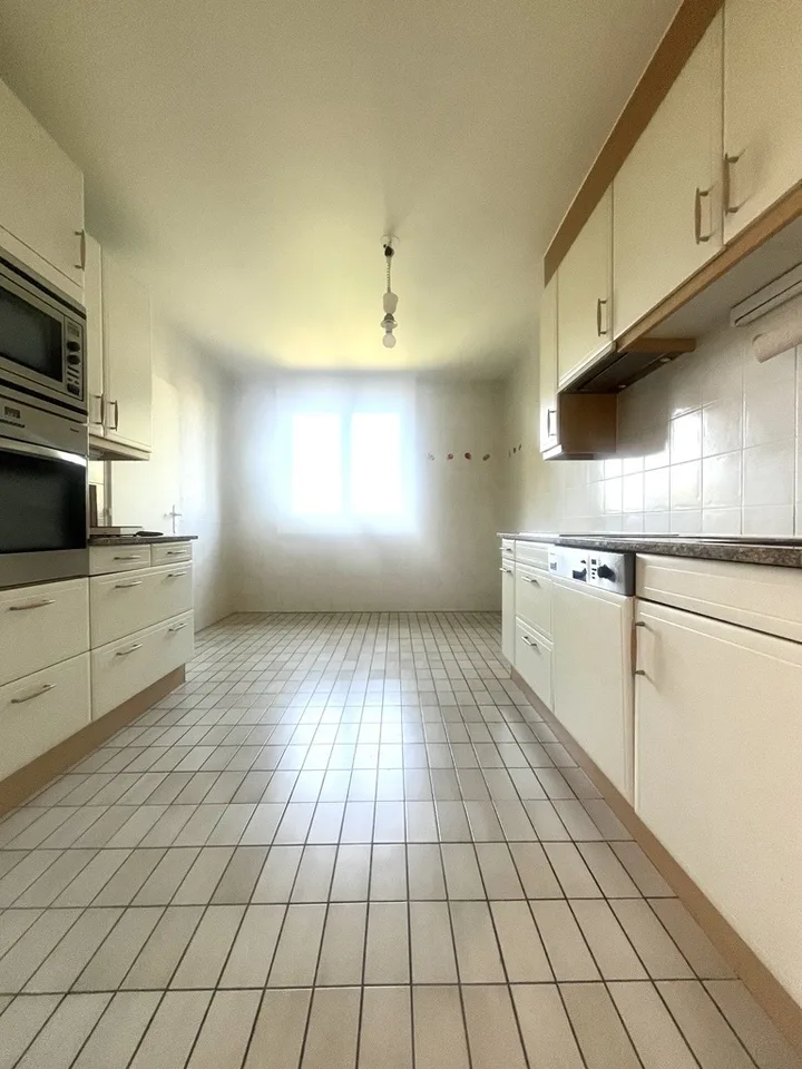 Large apartment in Meyrin