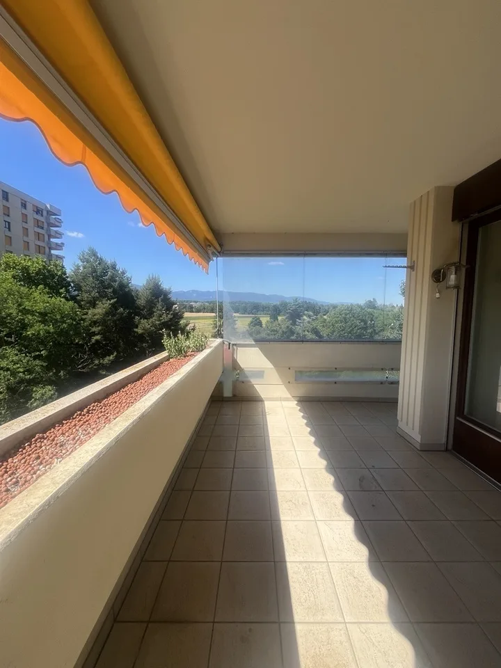 Grand appartement à Meyrin