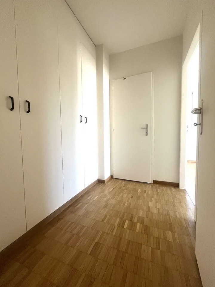 Large apartment in Meyrin
