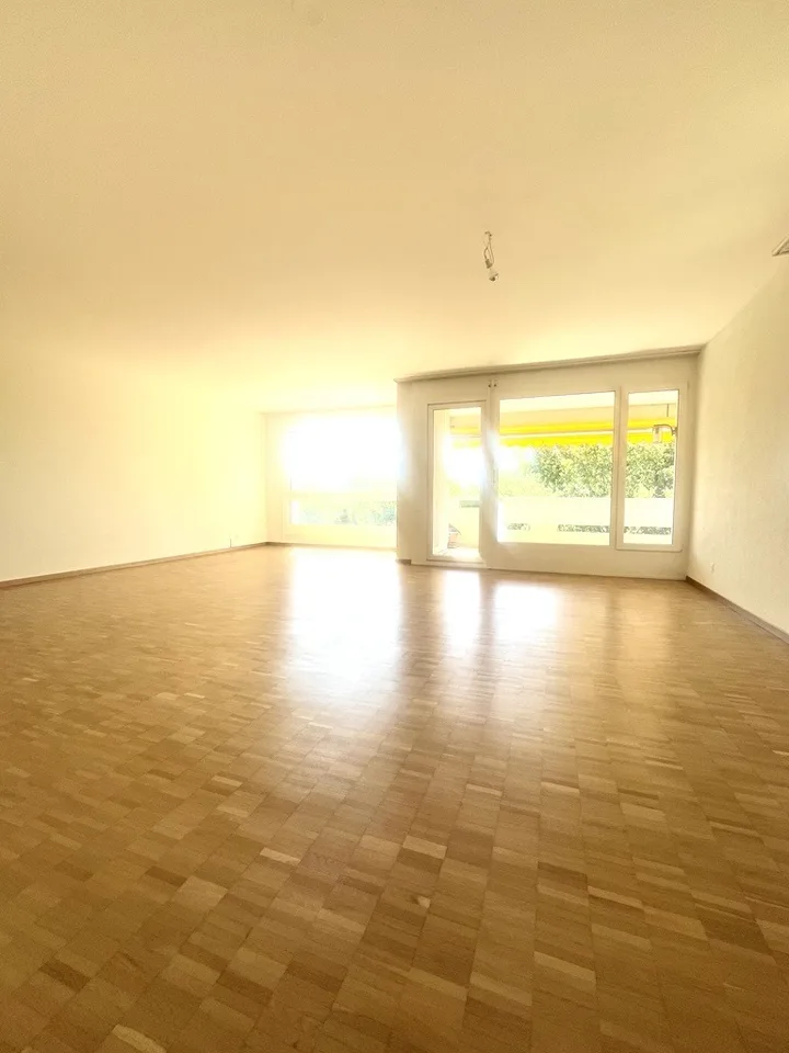 Large apartment in Meyrin