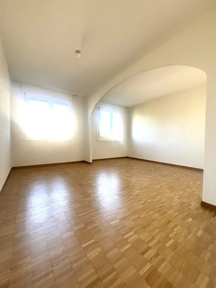 Large apartment in Meyrin