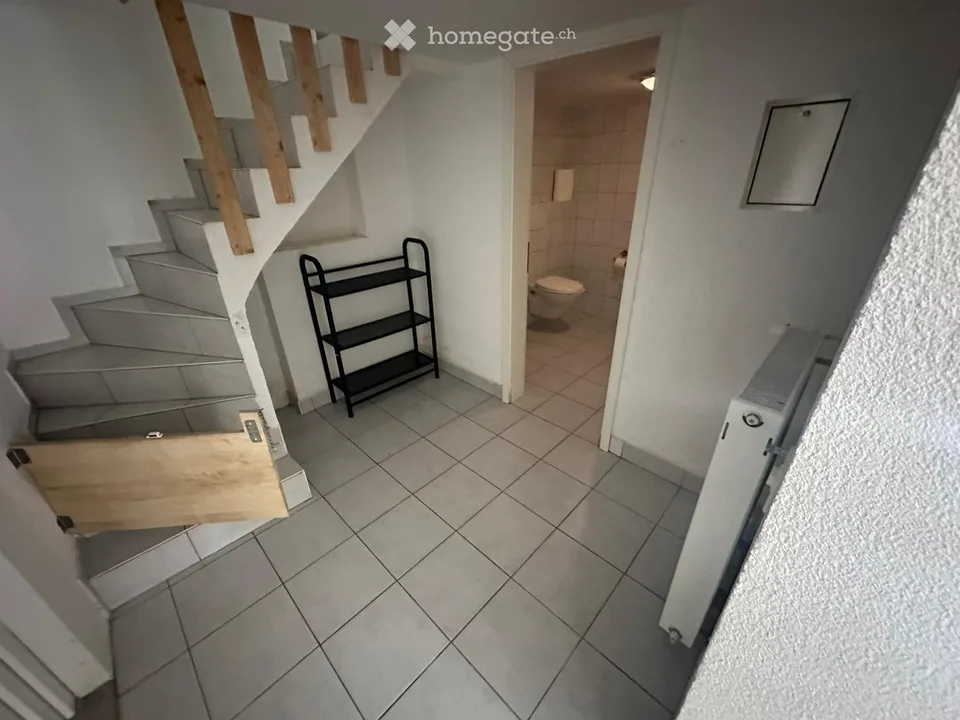 Wohnstudio mit grosser Terrasse