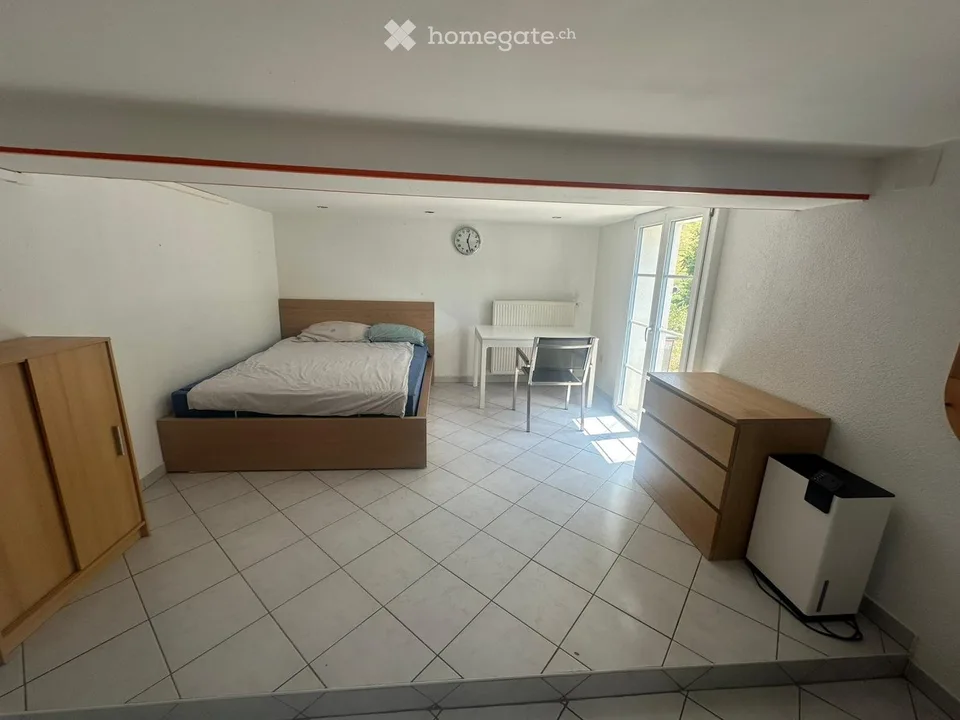 Wohnstudio mit grosser Terrasse