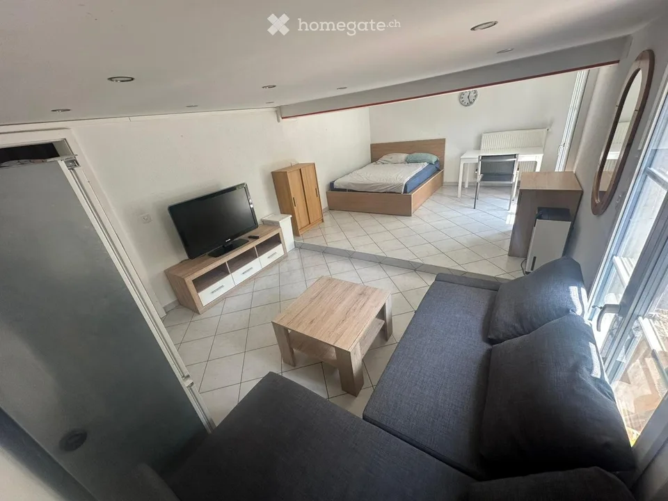Wohnstudio mit grosser Terrasse