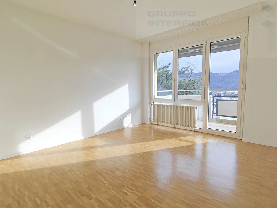 HELLES 3.5 ZIMMER APARTMENT IN MORBIO INFERIORE