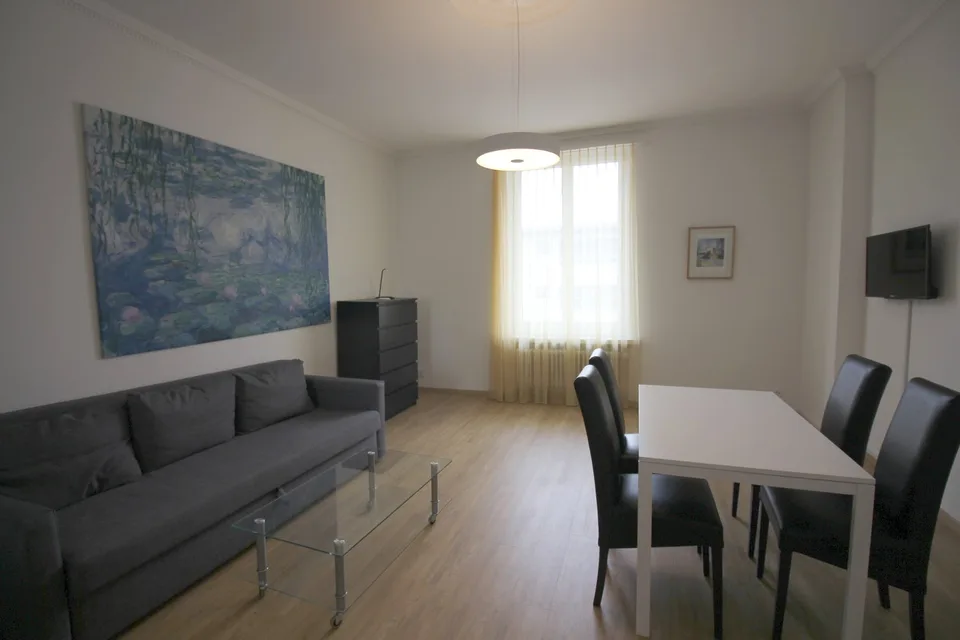 2 Zimmer Apartment Nähe Universität und Zentrum Zürich