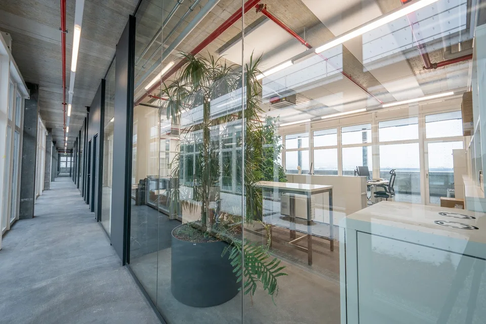 Bürofläche mit eigene grosse Rooftop Terrasse