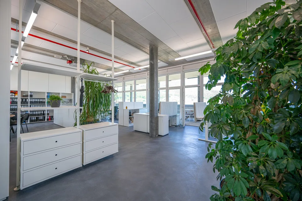 Espace de bureau avec grande terrasse sur le toit