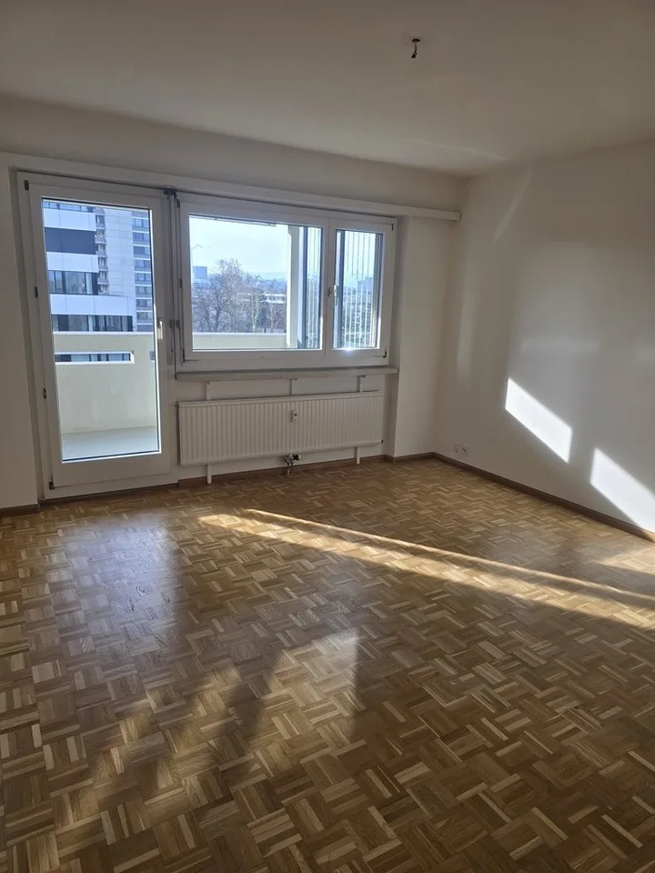 Appartamento accogliente di 2 camere nel quartiere di Hirzbrunnen