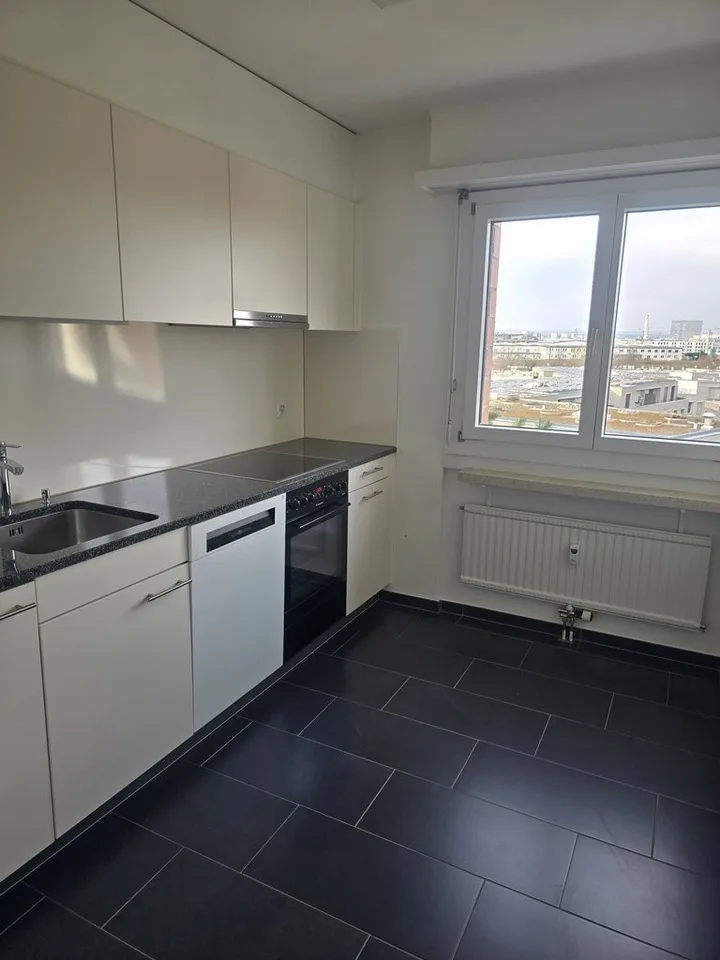 Appartamento accogliente di 2 camere nel quartiere di Hirzbrunnen