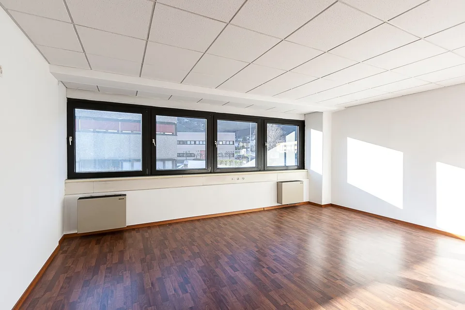 Bureau de plus de 200 m² en location à Bioggio – photo 8 sur 11