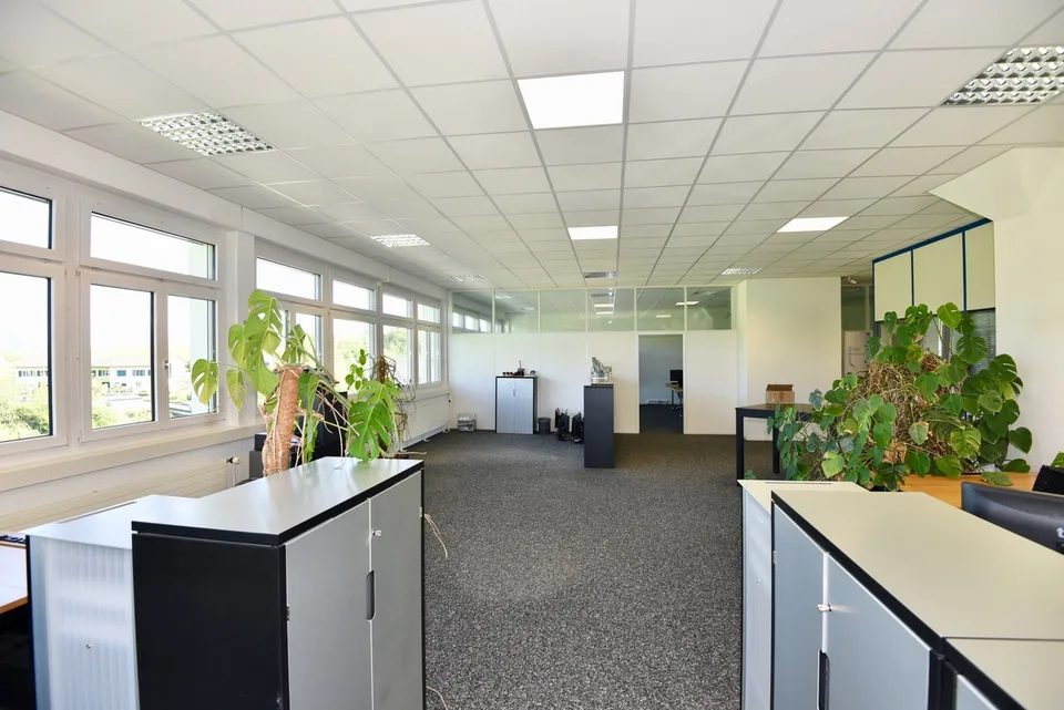 Spazi uffici moderni, completamente sviluppati (260 m2)
