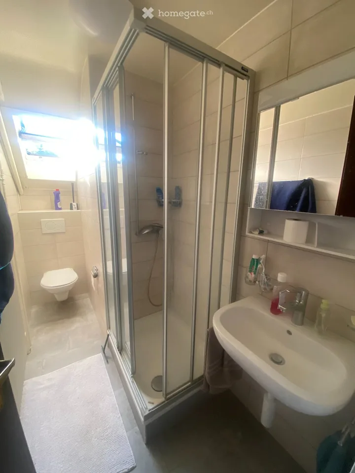 Geräumiges und sehr komfortables 1-Zimmer-Apartment