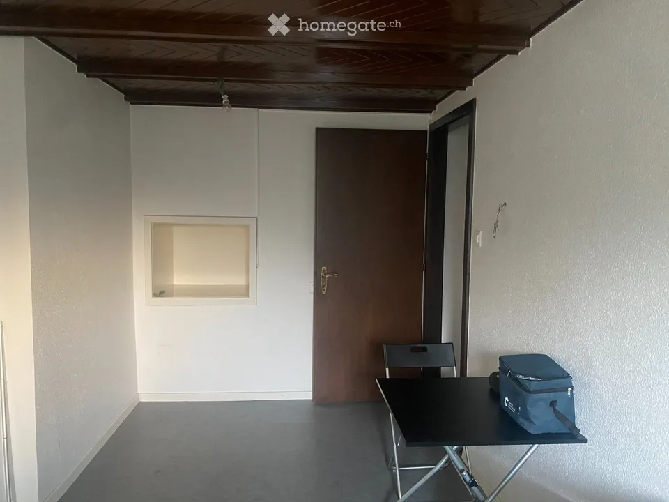 Appartement 1 pièce spacieux et très confortable