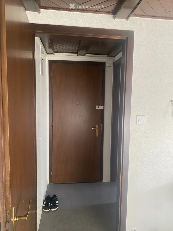 Geräumiges und sehr komfortables 1-Zimmer-Apartment