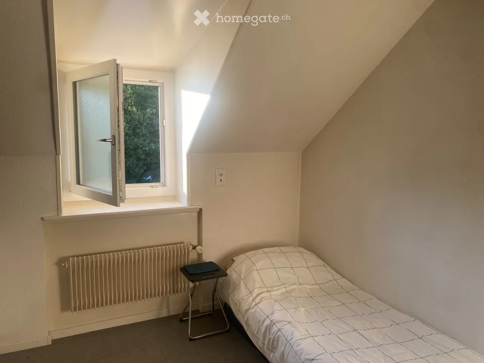Geräumiges und sehr komfortables 1-Zimmer-Apartment