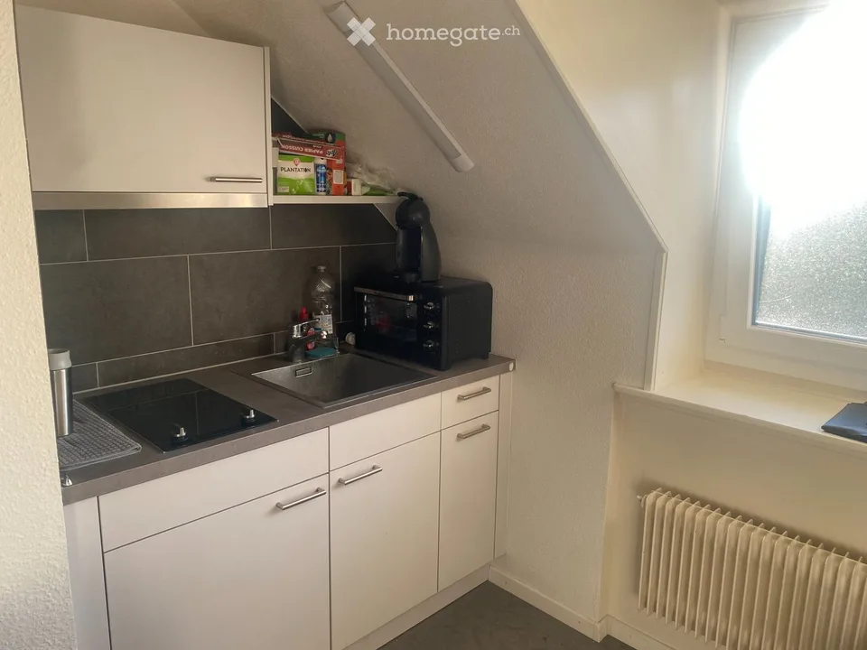 Geräumiges und sehr komfortables 1-Zimmer-Apartment