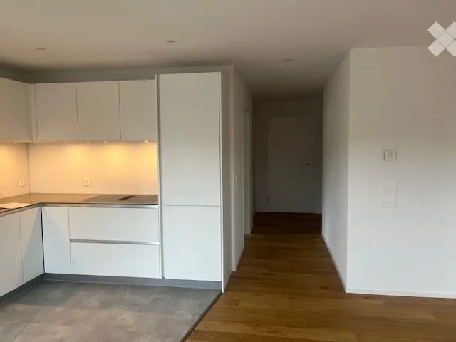 Modern 3.5-room attic apartment in Steinmaur